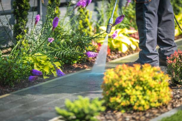 Best Post-Construction Pressure Washing  in Stevensville, MI
