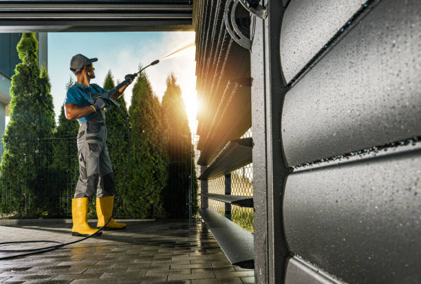Best Roof Washing  in Stevensville, MI